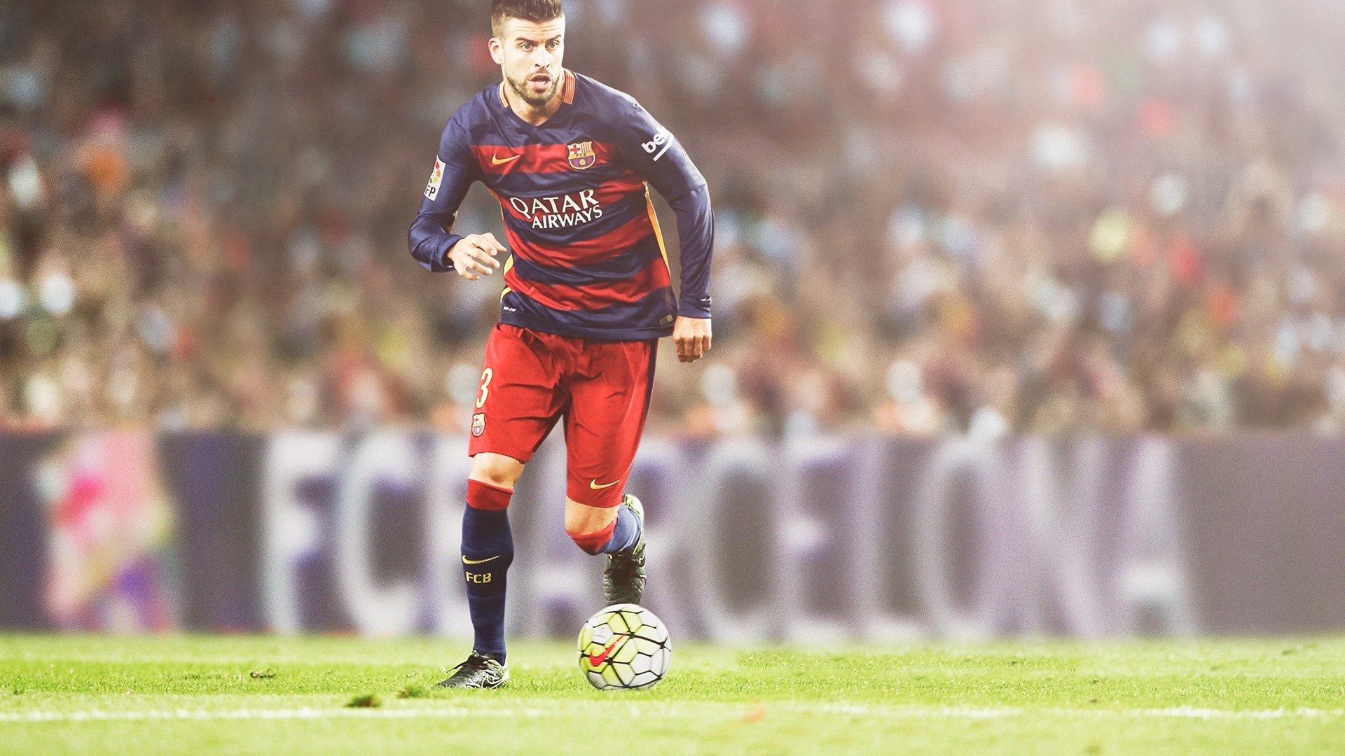 体育赛事观众数据报告